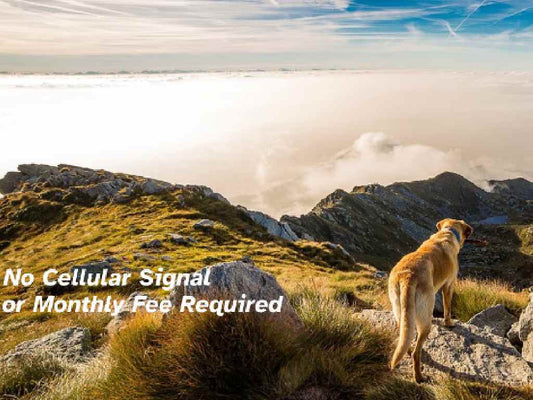 The All-Encompassing Need for Autonomous Dog Tracking in Cellular Signal-Challenged Settings