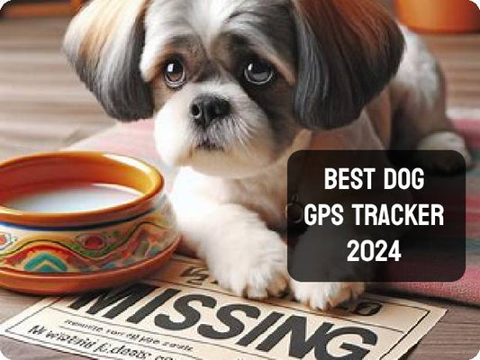 Emergency Measures for Lost Pets and the Best Pet Tracker