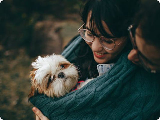 2024 Aorkuler Pet Tracker: Keeping Dogs Safe and Free