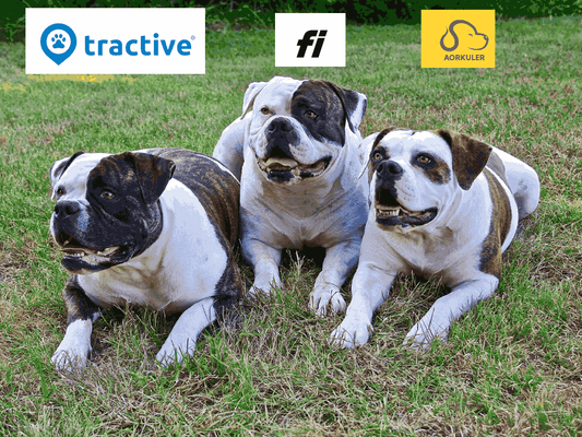 What is the difference between Fi, Tractive and Aorkuler?
