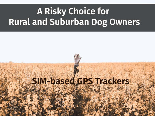 SIM-based GPS Trackers: A Risky Choice for Rural and Suburban Dog Owners