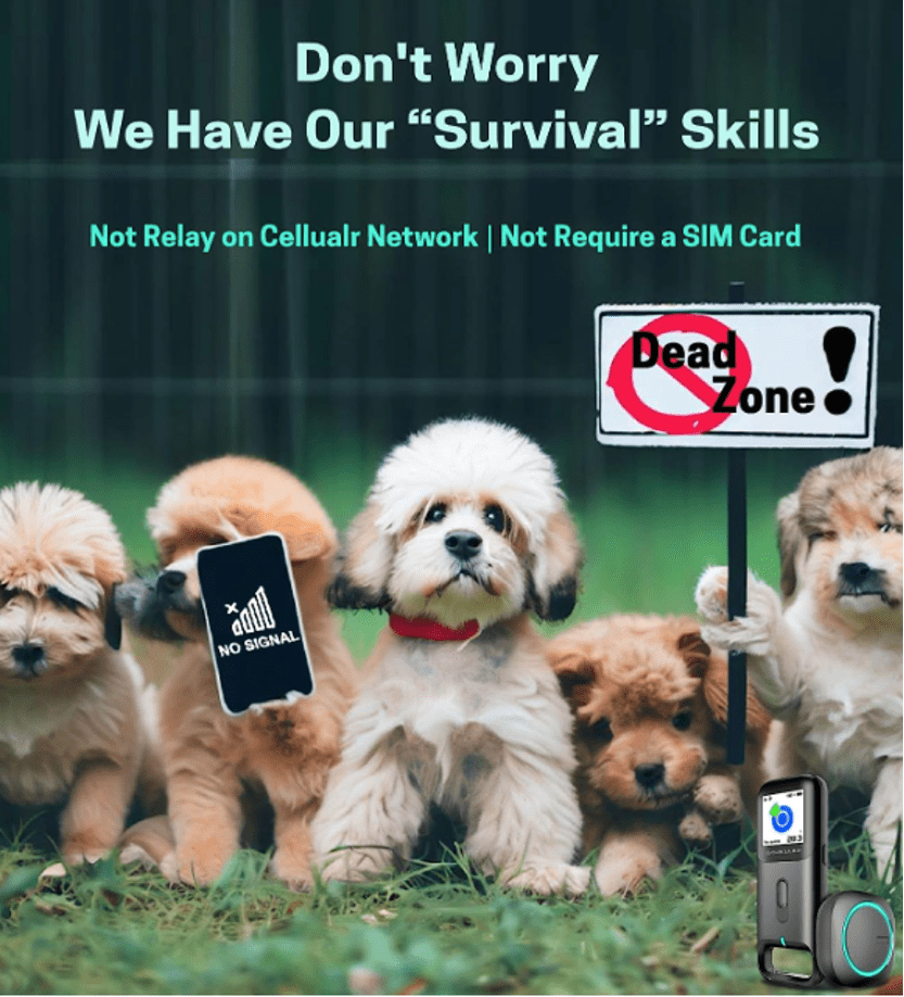 Can Dog Trackers Work Without Cellular Service?