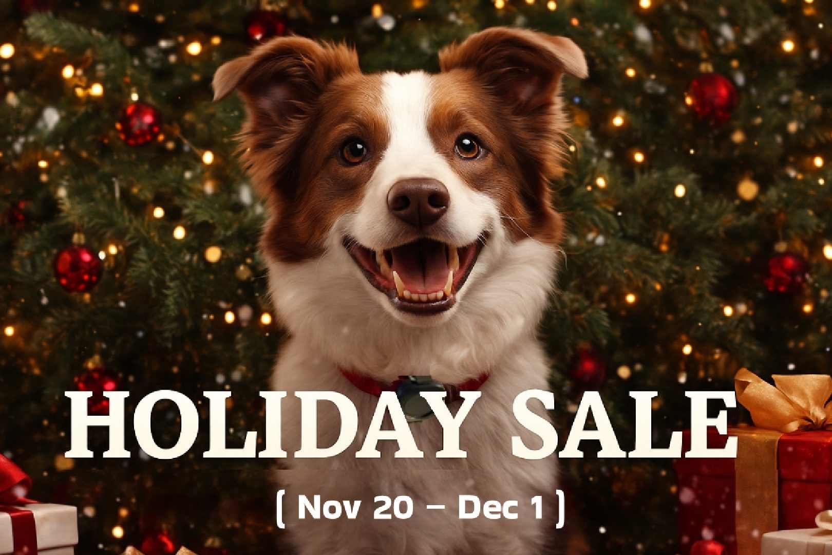 Aorkuler Holiday Sale Is Here — 10% Off for a Limited Time!