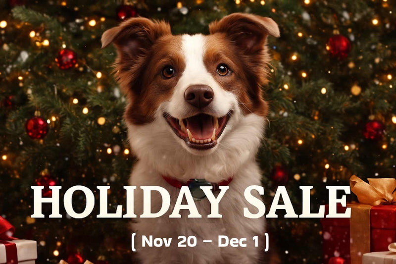 Aorkuler Holiday Sale Is Here — 10% Off for a Limited Time!