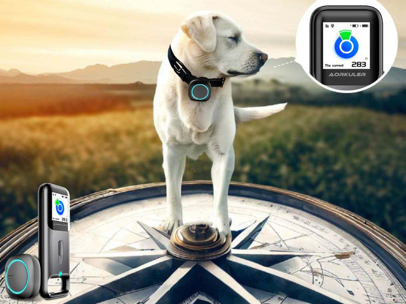 Why Does Aorkuler Provide the Ultimate Real-Time Tracking Experience?