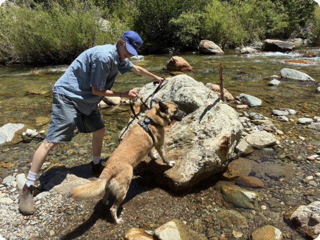 Join the Aorkuler Creator Program – Share Your Dog’s Adventures