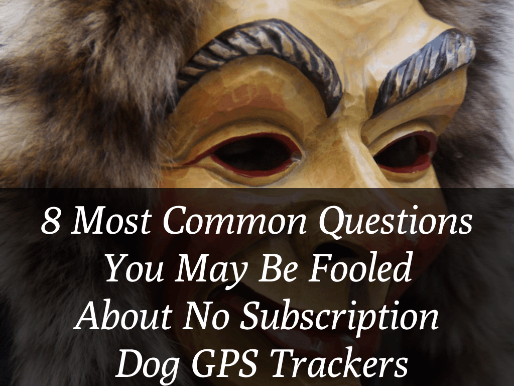 8 Most Common Questions You May Be Fooled About No Subscription Dog GPS Trackers