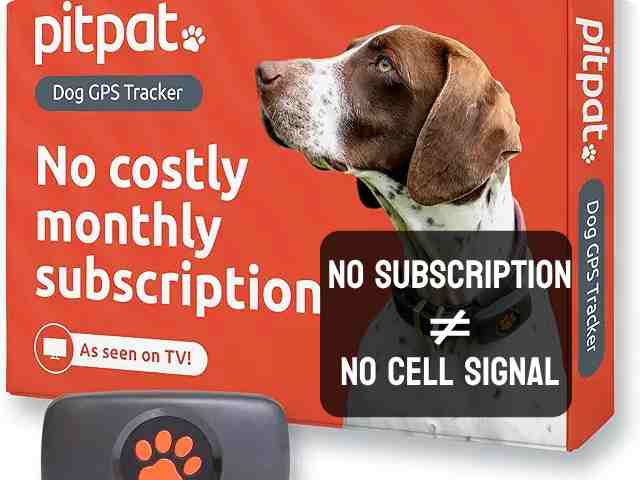 Debunking PitPat dog GPS tracker No Subscription Misconception