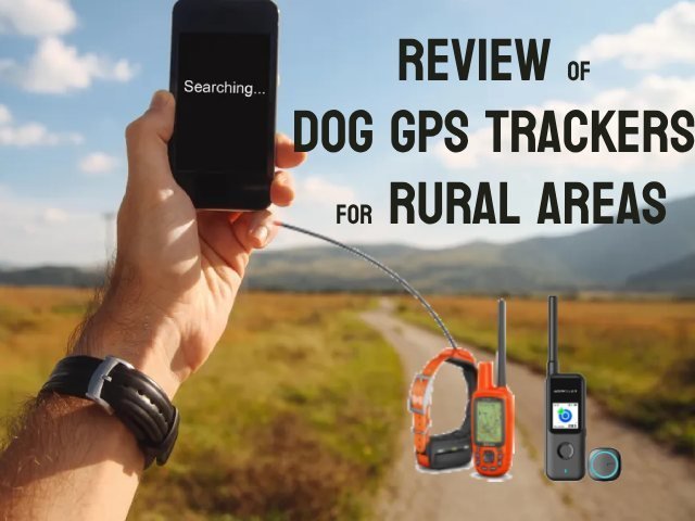 Comprehensive Review of the Best Dog GPS Trackers for Rural Areas