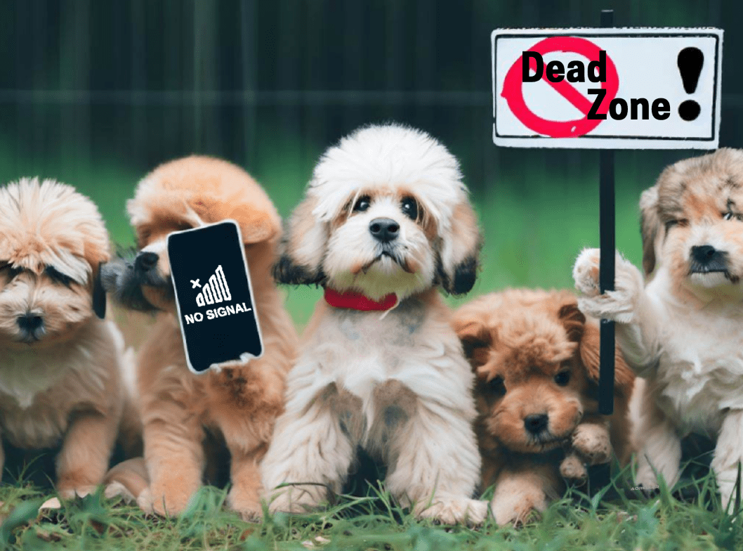 Can Apple AirTags Really Help You Find Your Dog Outdoors?