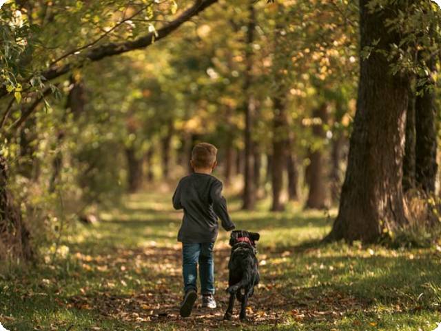 Tracking Your Furry Friend: GPS Locator for Dogs