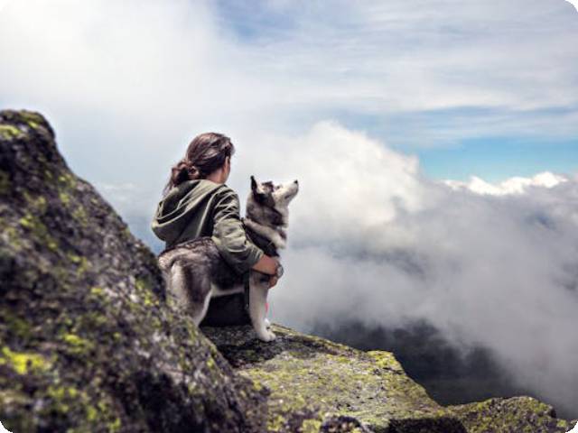 A Safe Companion for Suburban Dogs in 2024: Aorkuler Pet Tracker