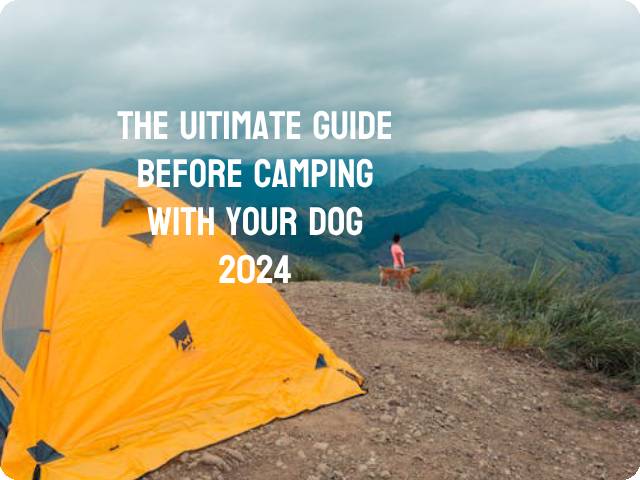 Camping with Dog