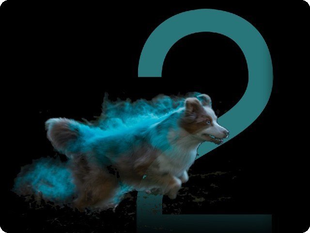 2025 Aorkuler Dog GPS Tracker 2 is on sale!