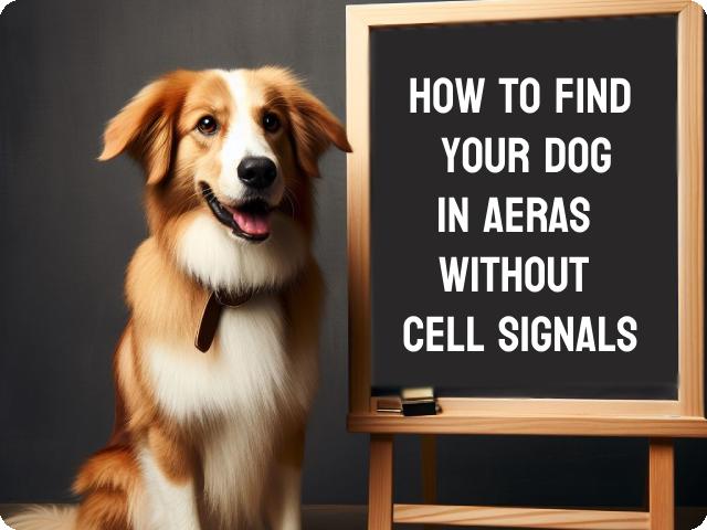 How to Use Aorkuler Dog GPS Tracker to Find Your Dog in Areas with No Cell Phone Signal
