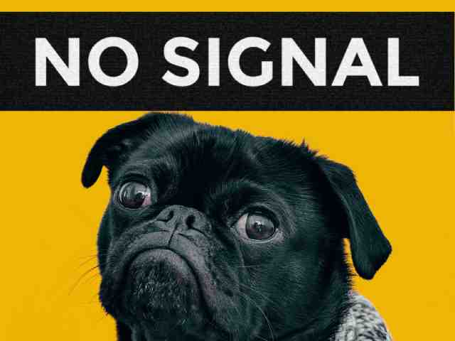 Dog GPS Tracker for Remote Dog Areas: Ensuring Canine Safety Off the Grid