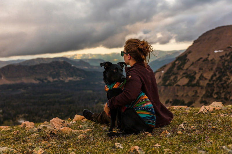 Top 5 Dog GPS Trackers Without Subscription Fees in 2026