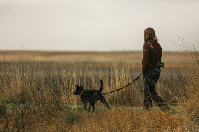 A woman taking her dog for a walk through a flat fen-like landscape
