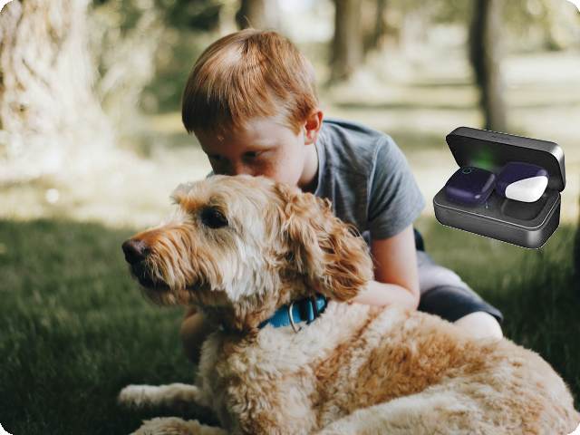 Petfon GPS Tracker in 2024