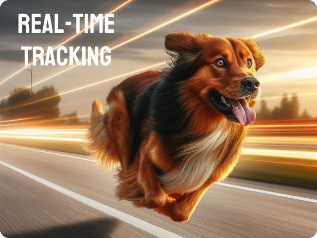 Can Your GPS Dog Tracking Collar Really Support Real-Time Tracking?