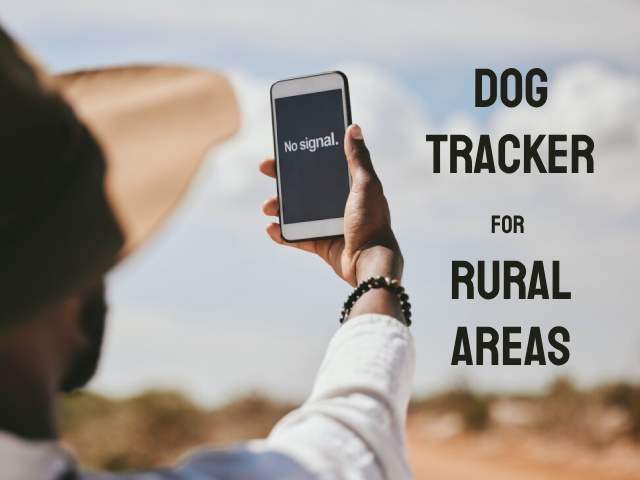 The Best Dog Tracker for Rural Areas