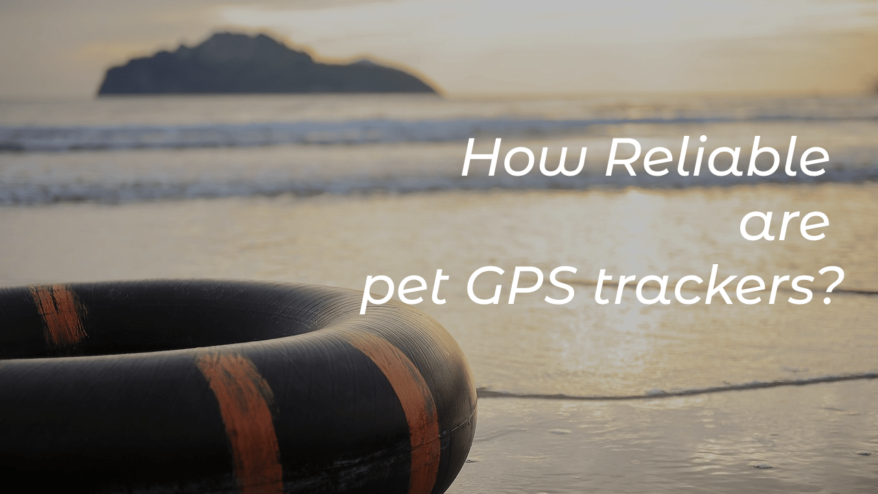 How reliable are pet GPS trackers?