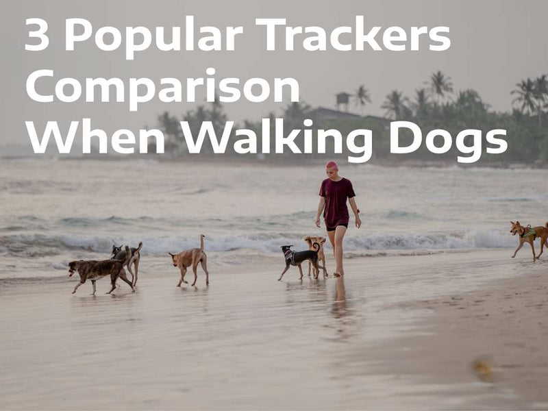 Tractive vs Petfon vs Aorkuler: Which Dog GPS Tracker is Best for You?