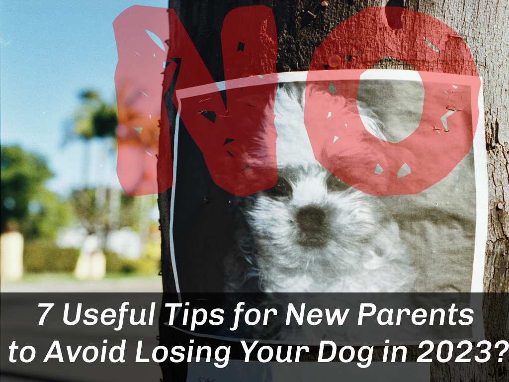 7 Useful Tips for New Parents to Avoid Losing Your Dog in 2023