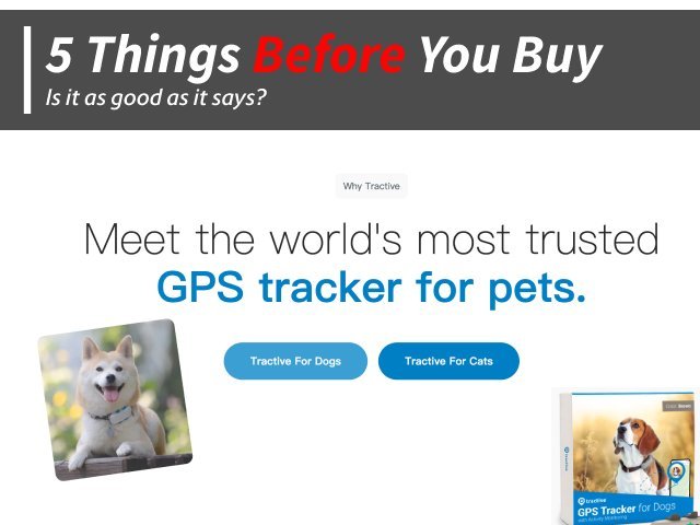 5 Questions to Ask Before You Buy Tractive GPS Tracker