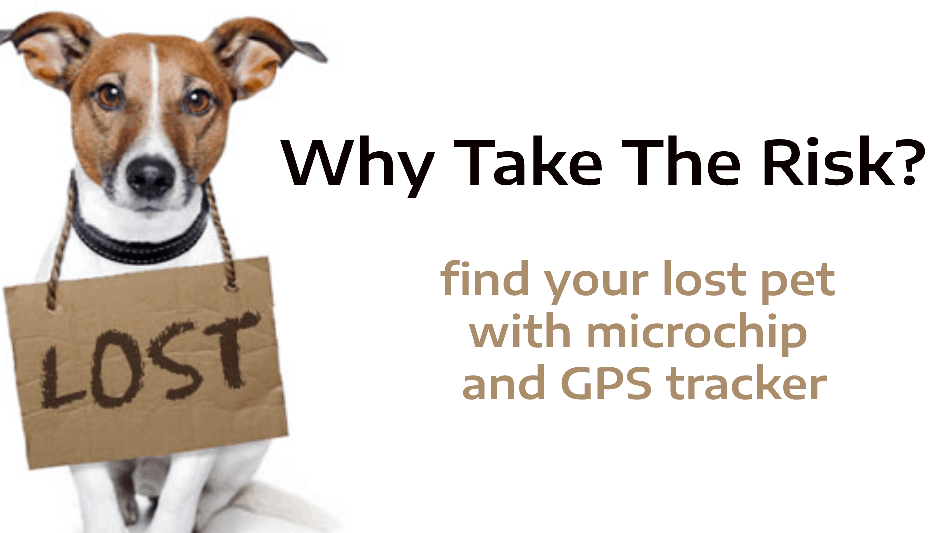 How to find your lost pet with microchip and GPS tracker?
