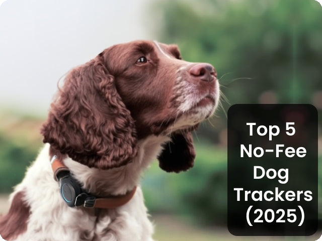 Top 5 Dog GPS Trackers Without Subscription Fees in 2025