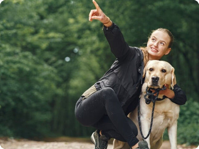 Fit Dogs, Happy Lives: How to Keep Your Canine (and Yourself) Moving