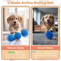 Smart Interactive Dog Ball