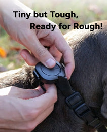 Aorkuler Dog GPS Tracker 2