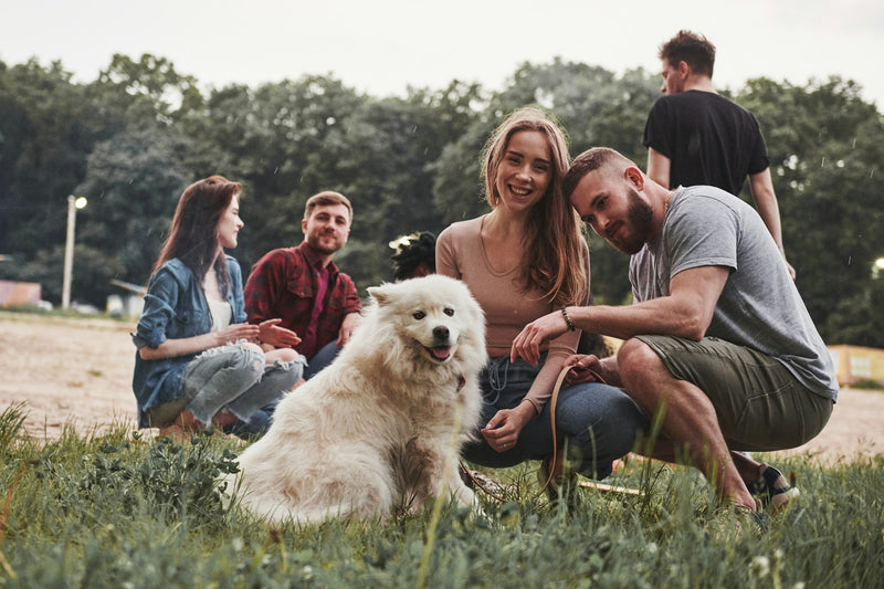 The Best Dog GPS Tracker Without Subscription of 2026